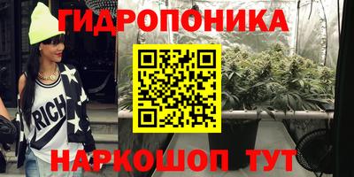 гидра Тара