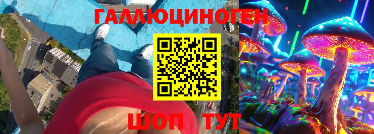Псилоцибиновые грибы мицелий Подольск