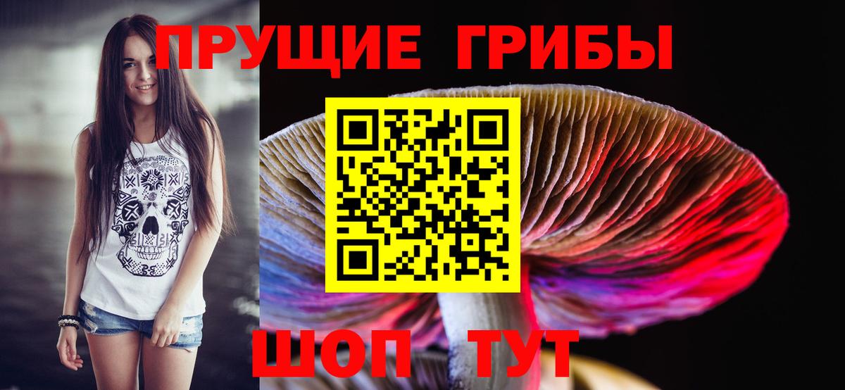 что такое наркотик  Псилоцибиновые грибы мухоморы  Вход с VPN  Подольск 